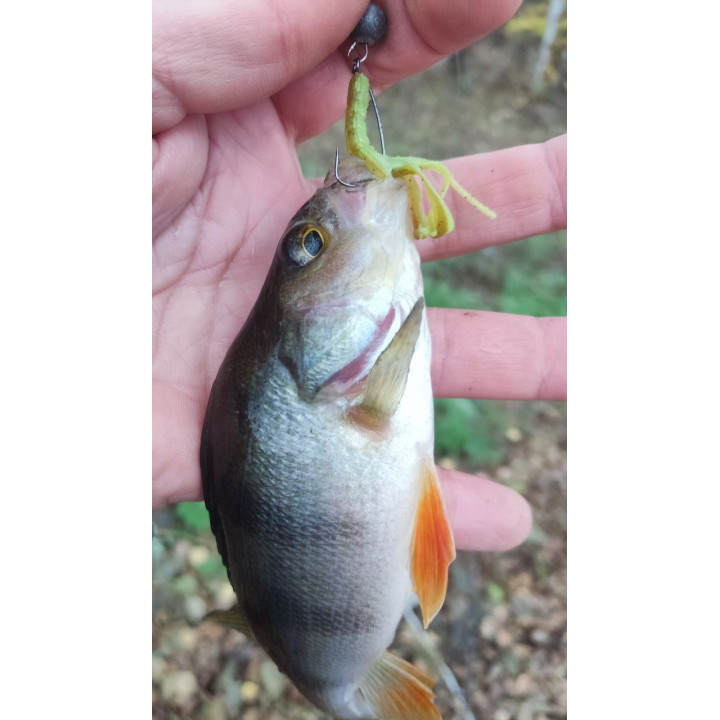 CRAZY РАЧОК від SUPERCONTINENT 20 шт 40 мм