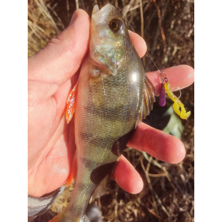 CRAZY РАЧОК від SUPERCONTINENT 20 шт 40 мм