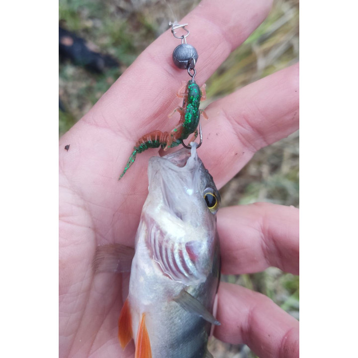 LARVA від SUPERCONTINENT 20 шт 40 мм