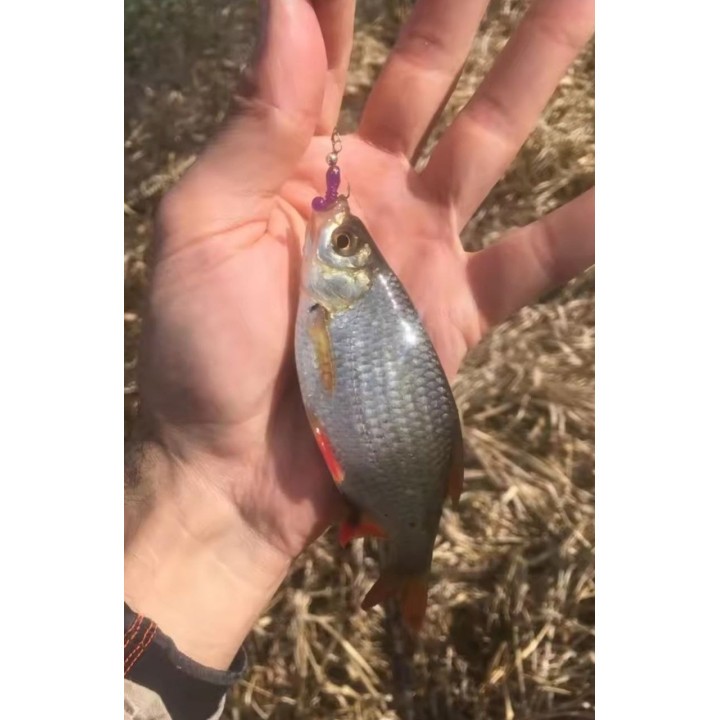 "ВАЙТБЕЙТ" від SUPERCONTINENT 50 шт 20 мм