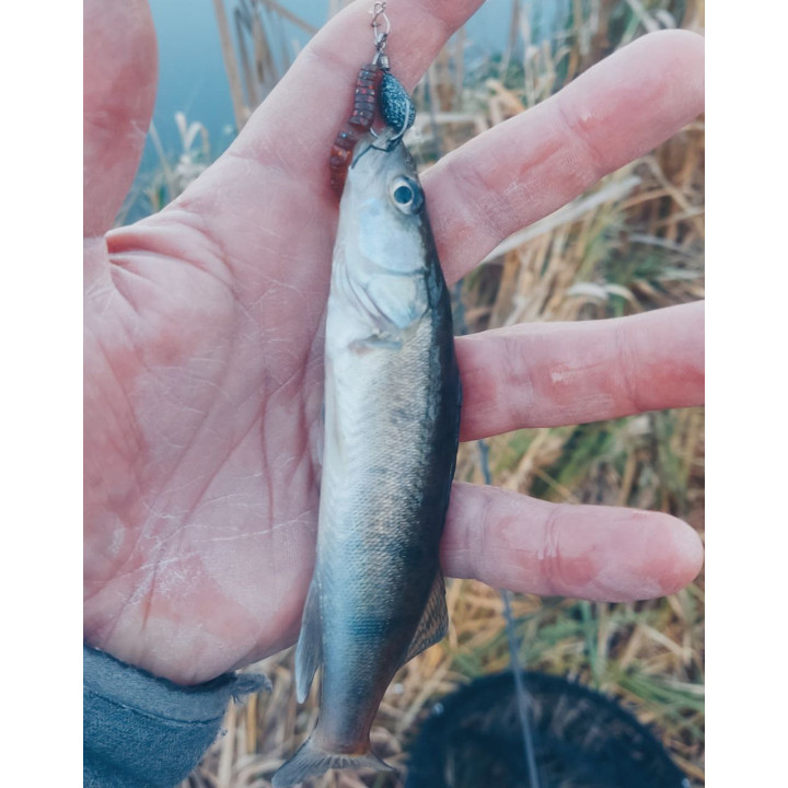 "ПОЛЯРИК, СТІК" від SUPERCONTINENT 50 шт 40 мм