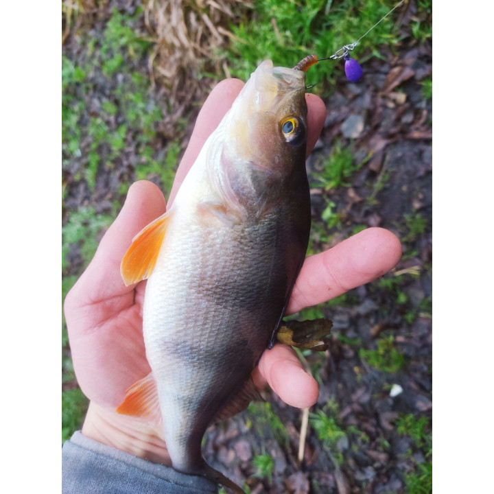 "ПОЛЯРИК, СТІК" від SUPERCONTINENT 50 шт 40 мм