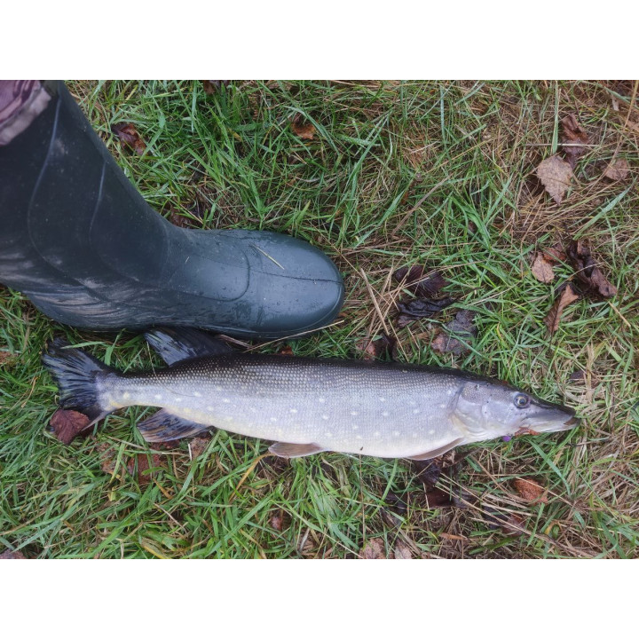 "ПОЛЯРИК, СТІК" від SUPERCONTINENT 50 шт 40 мм