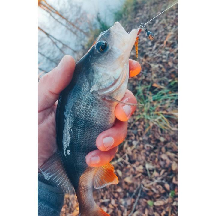 "ПОЛЯРИК, СТІК" від SUPERCONTINENT 50 шт 40 мм