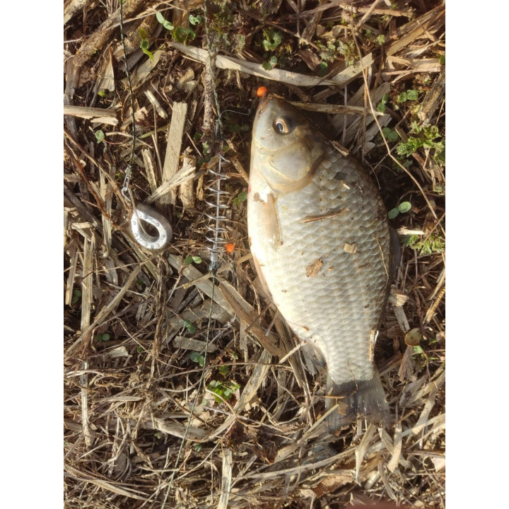 КОРМАЧОК на гачках ХАЯБУЗА